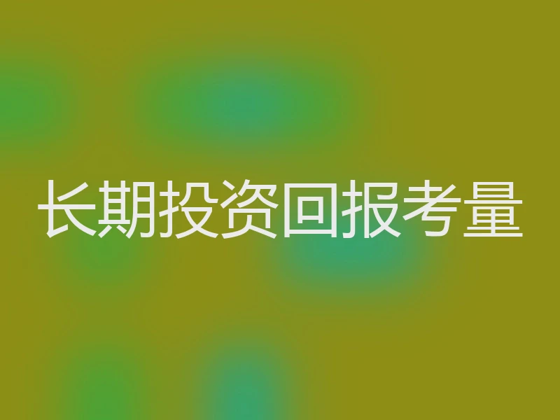 长期投资回报考量