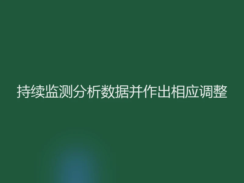 持续监测分析数据并作出相应调整