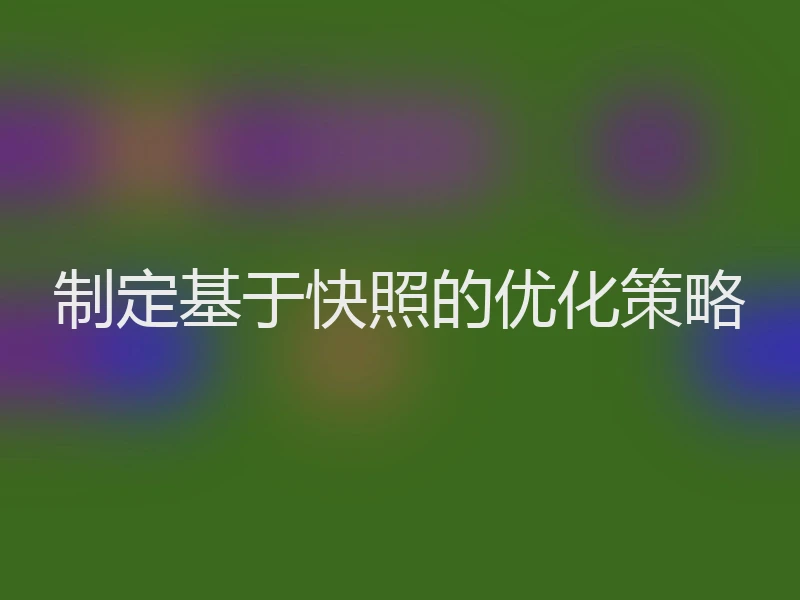 制定基于快照的优化策略