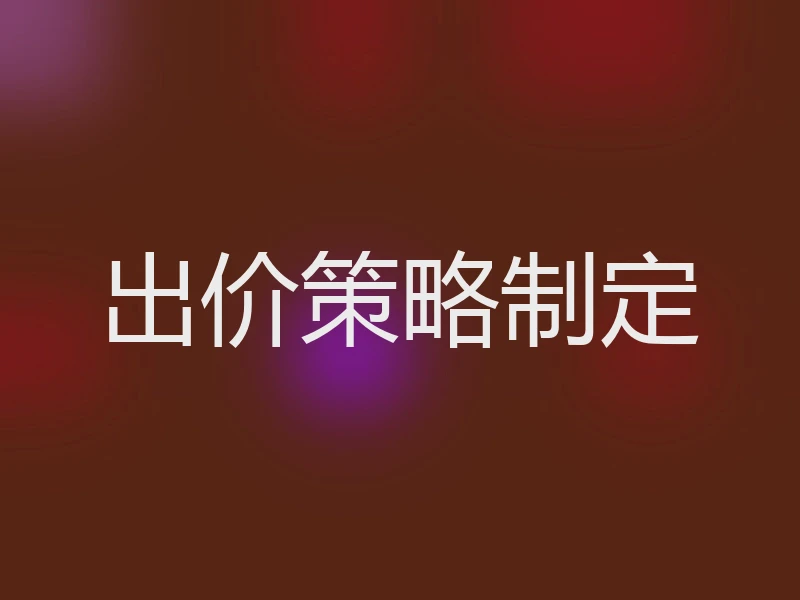 出价策略制定
