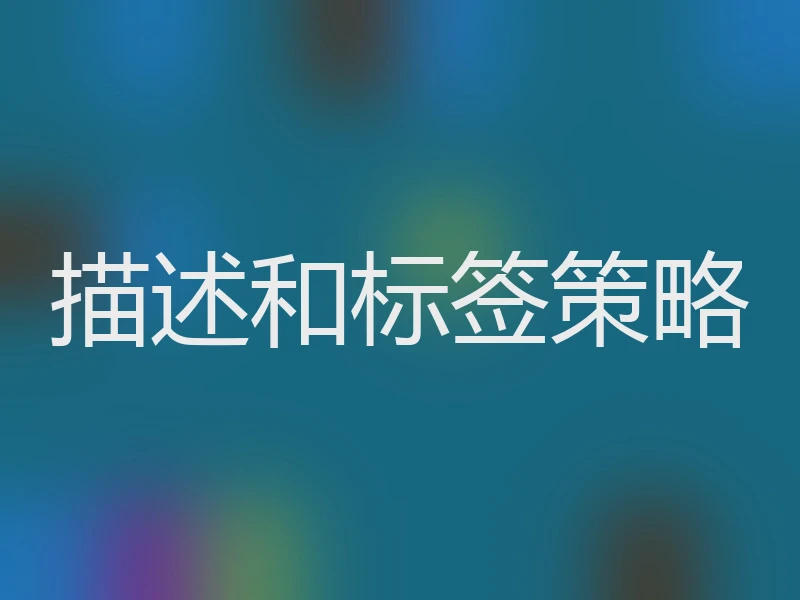 描述和标签策略