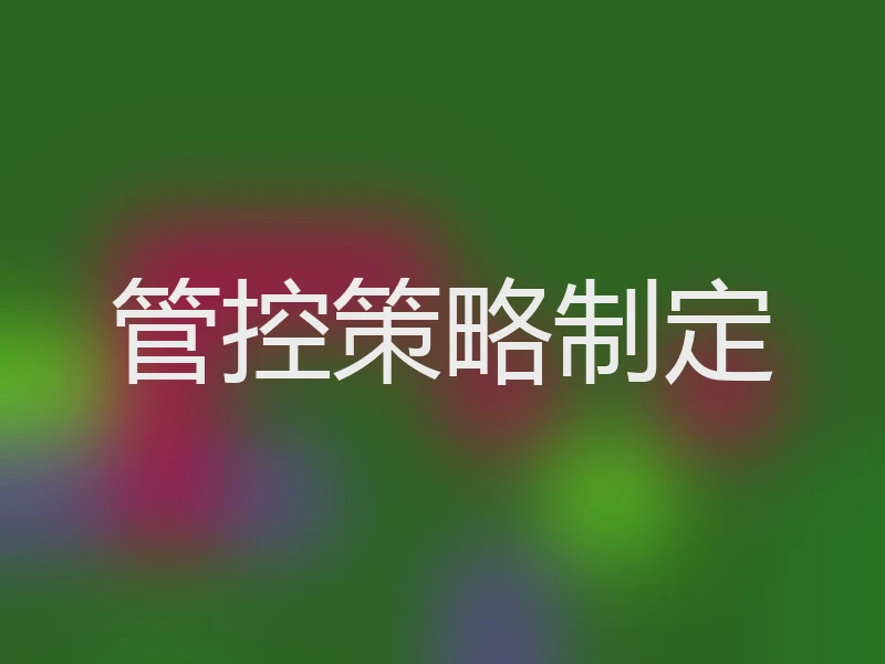 管控策略制定