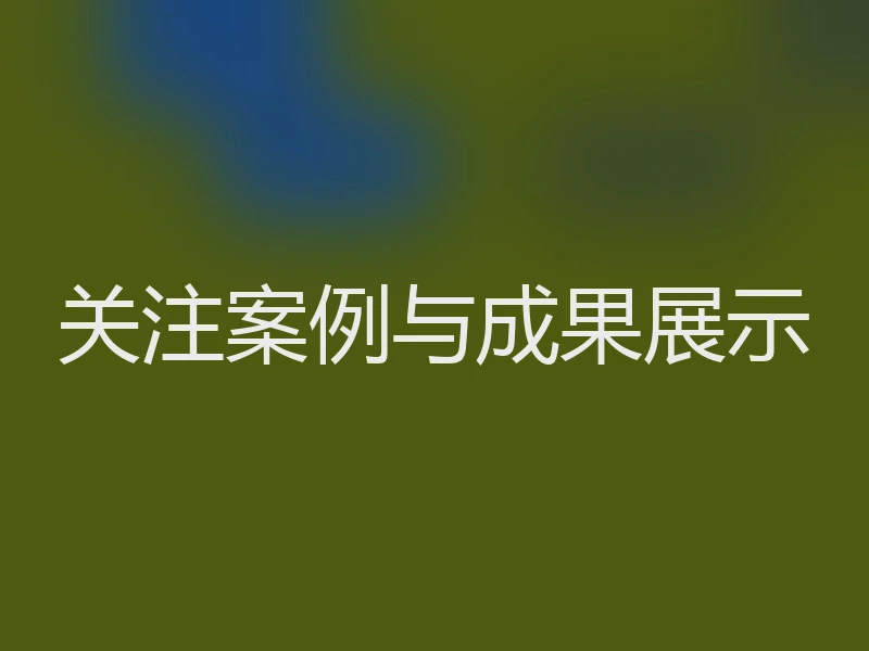 关注案例与成果展示