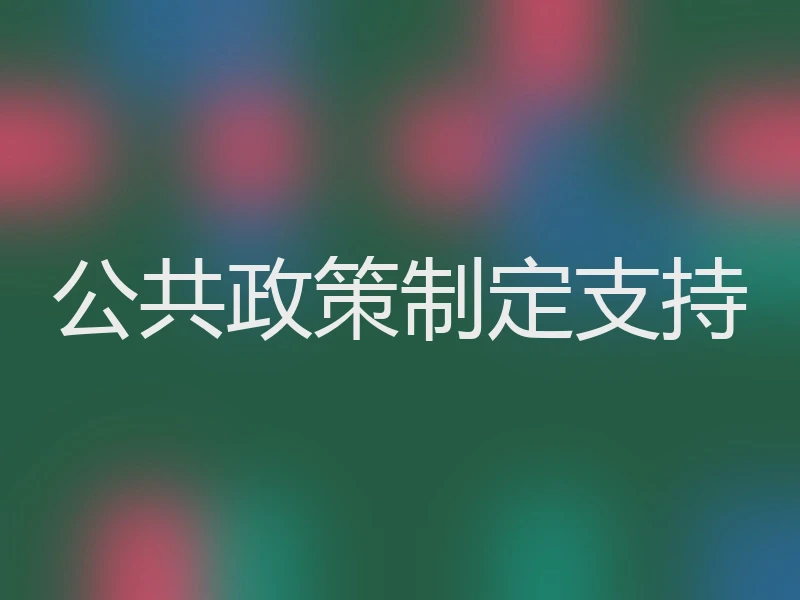 公共政策制定支持
