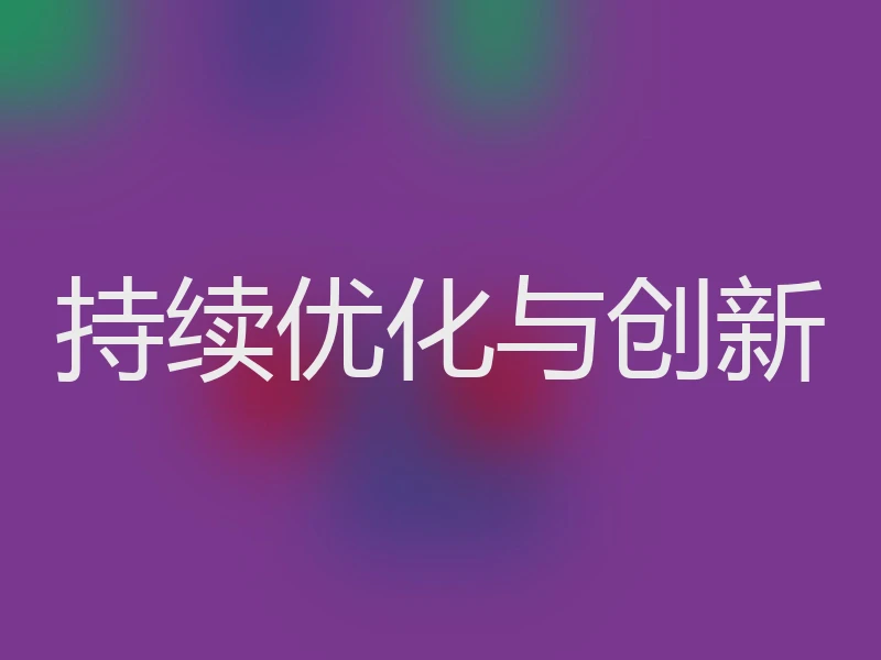 持续优化与创新