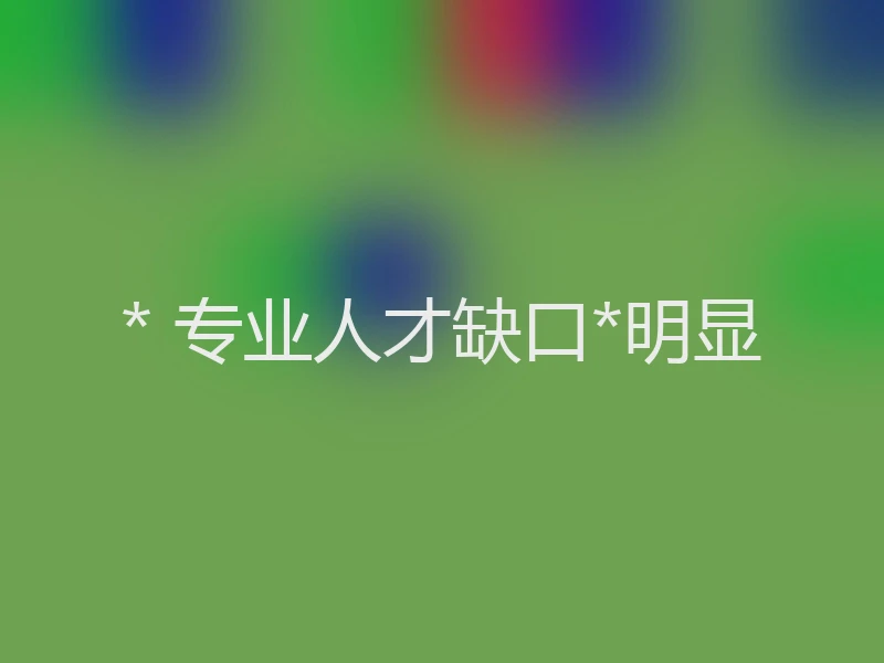 * 专业人才缺口*明显