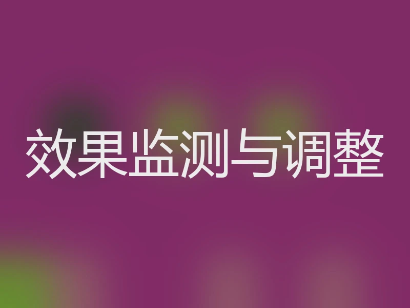 效果监测与调整
