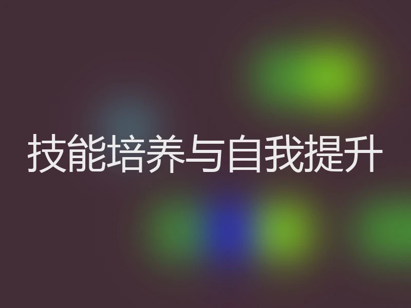 技能培养与自我提升
