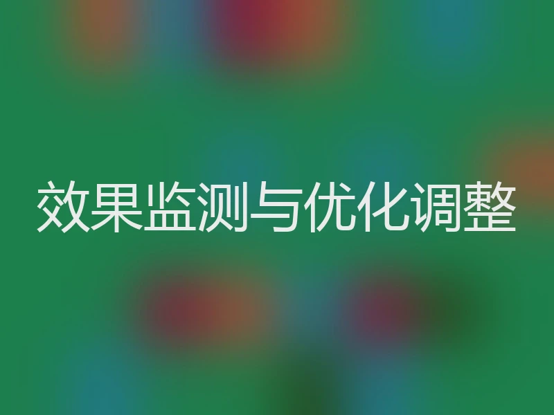 效果监测与优化调整