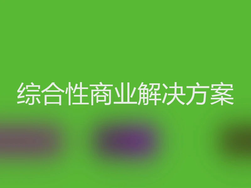综合性商业解决方案