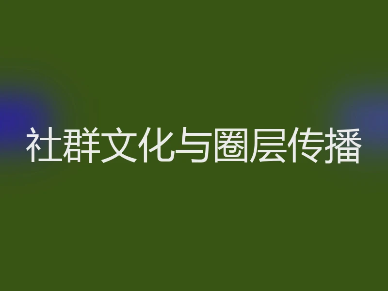社群文化与圈层传播