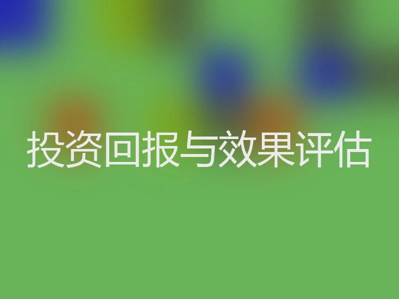 投资回报与效果评估
