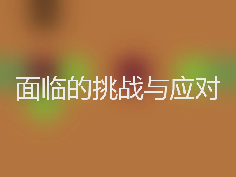 面临的挑战与应对