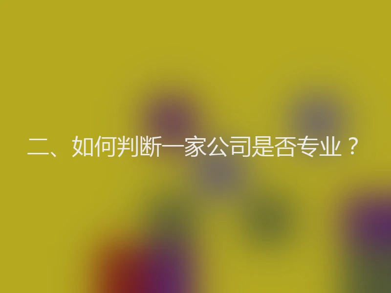 二、如何判断一家公司是否专业？