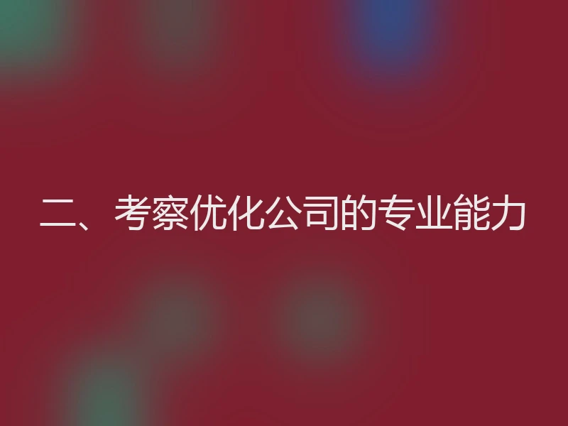 二、考察优化公司的专业能力