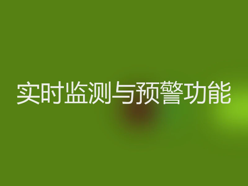 实时监测与预警功能