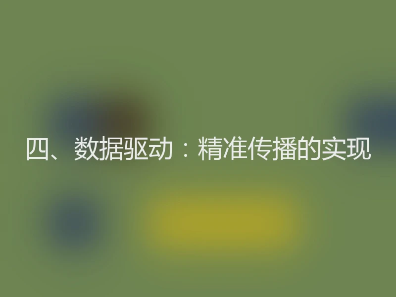 四、数据驱动:精准传播的实现