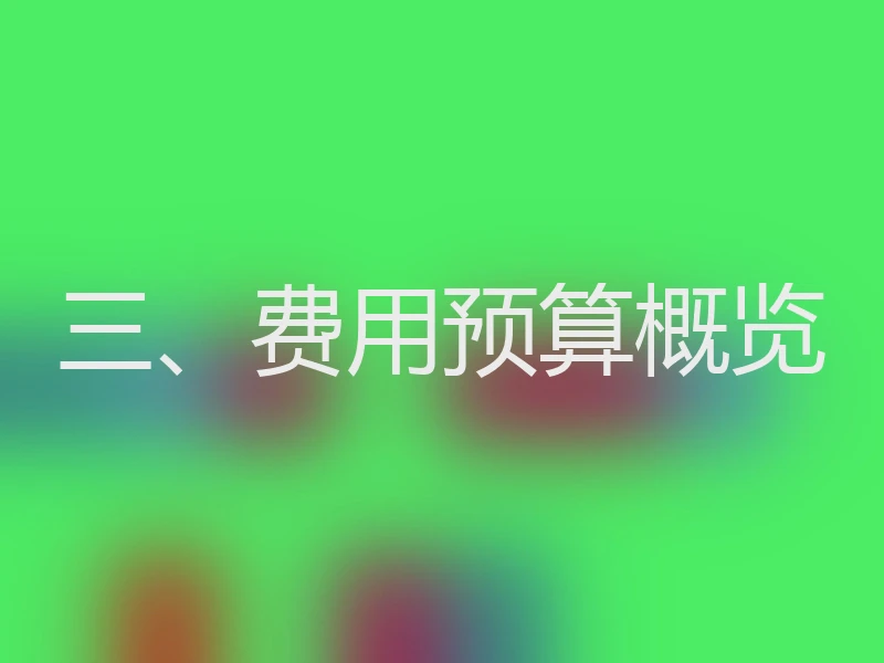 三、费用预算概览
