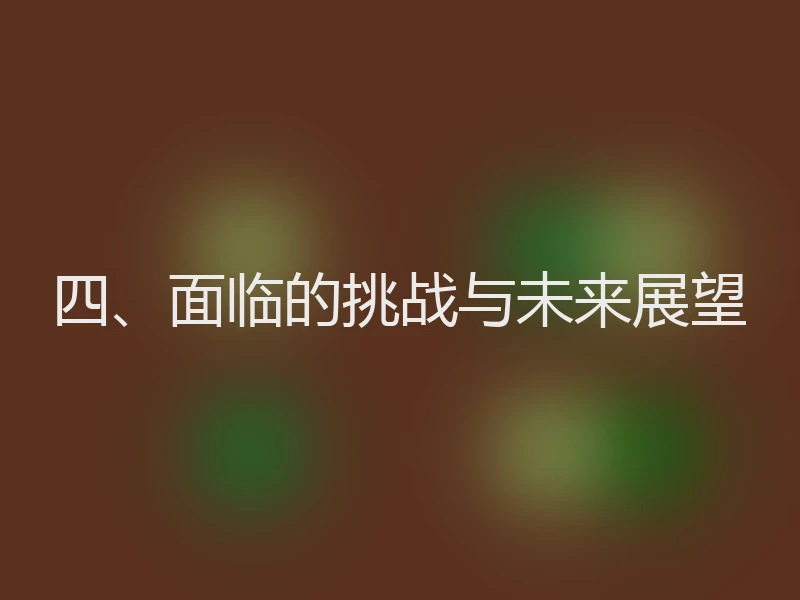 四、面临的挑战与未来展望