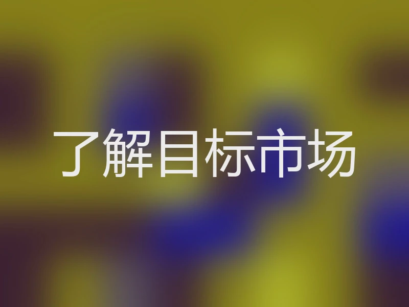 了解目标市场