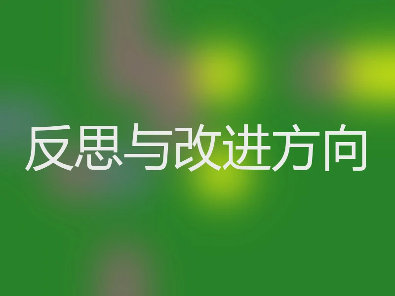 反思与改进方向