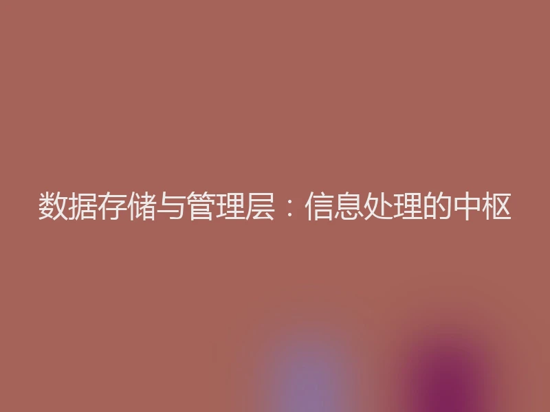 数据存储与管理层：信息处理的中枢