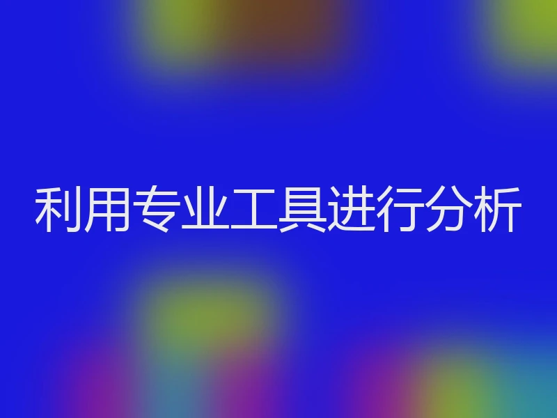 利用专业工具进行分析