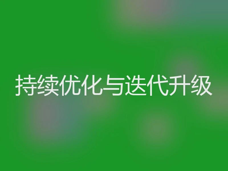 持续优化与迭代升级
