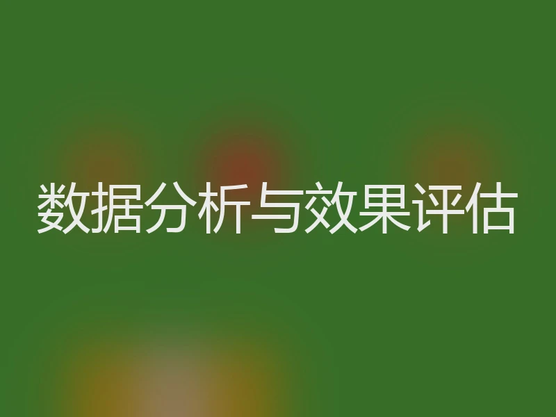 数据分析与效果评估