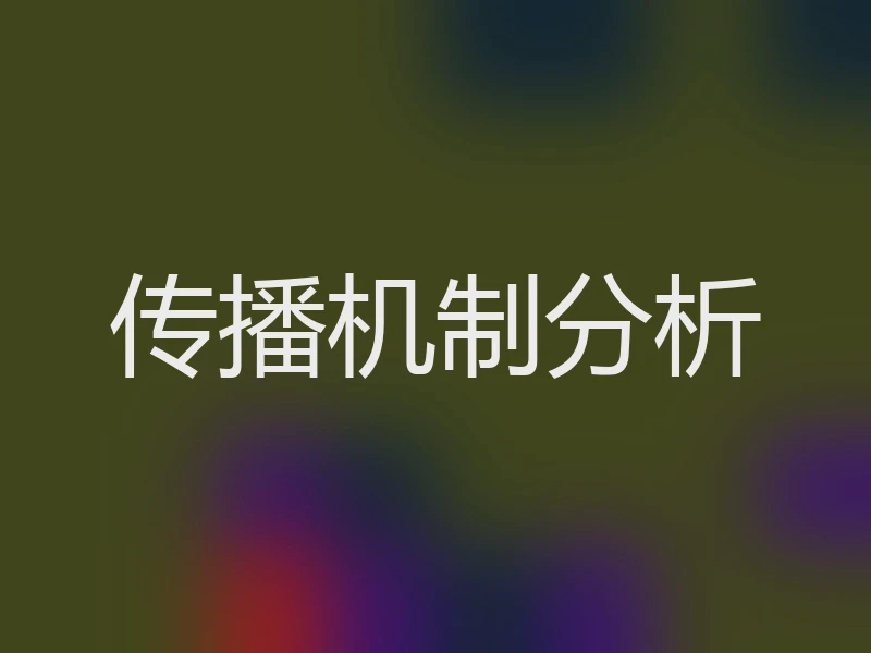 传播机制分析