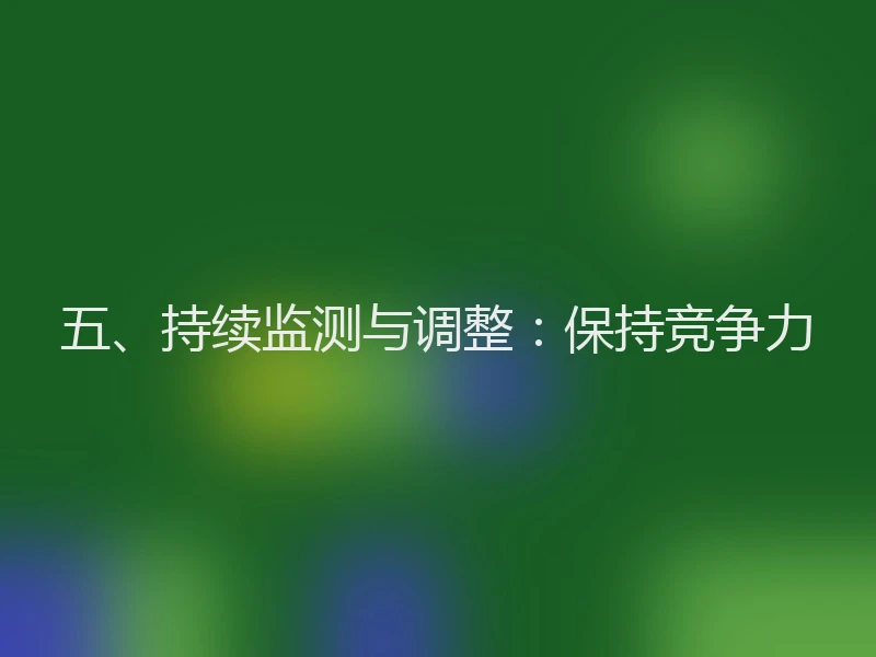 五、持续监测与调整：保持竞争力