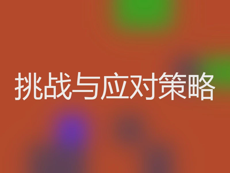 挑战与应对策略