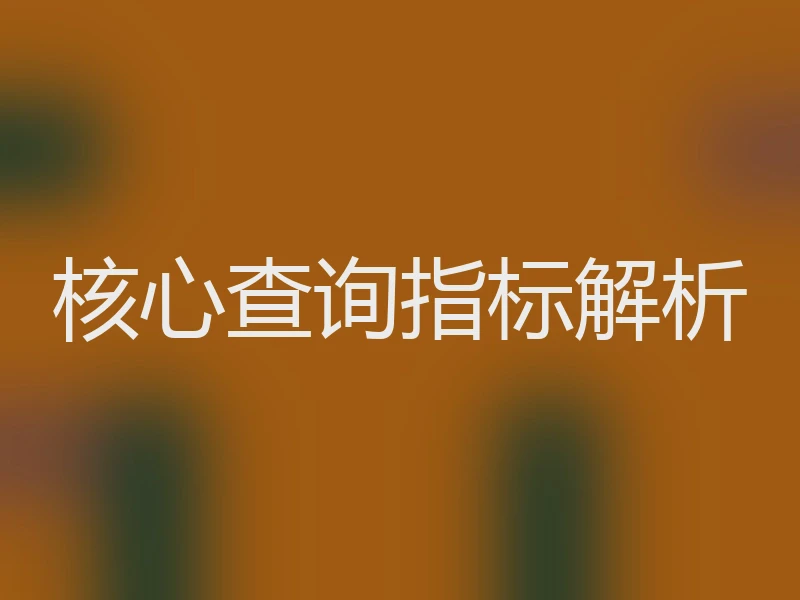 核心查询指标解析