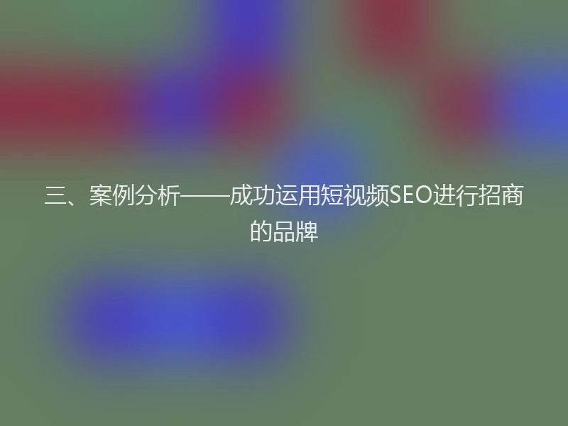 三、案例分析——成功运用短视频SEO进行招商的品牌