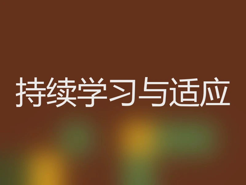 持续学习与适应
