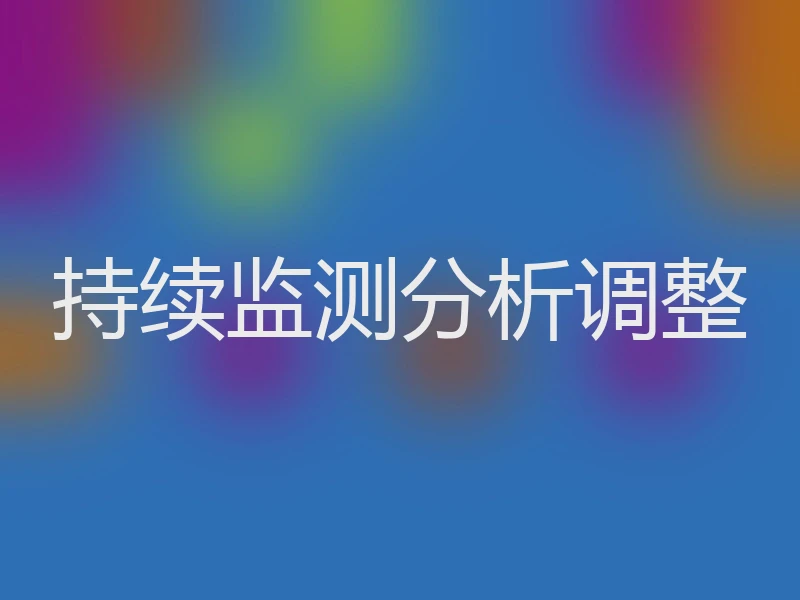 持续监测分析调整