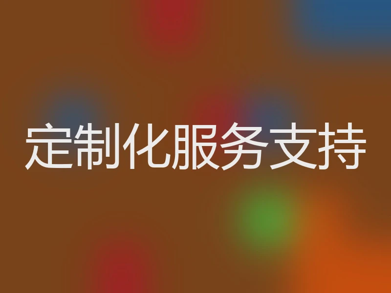 定制化服务支持
