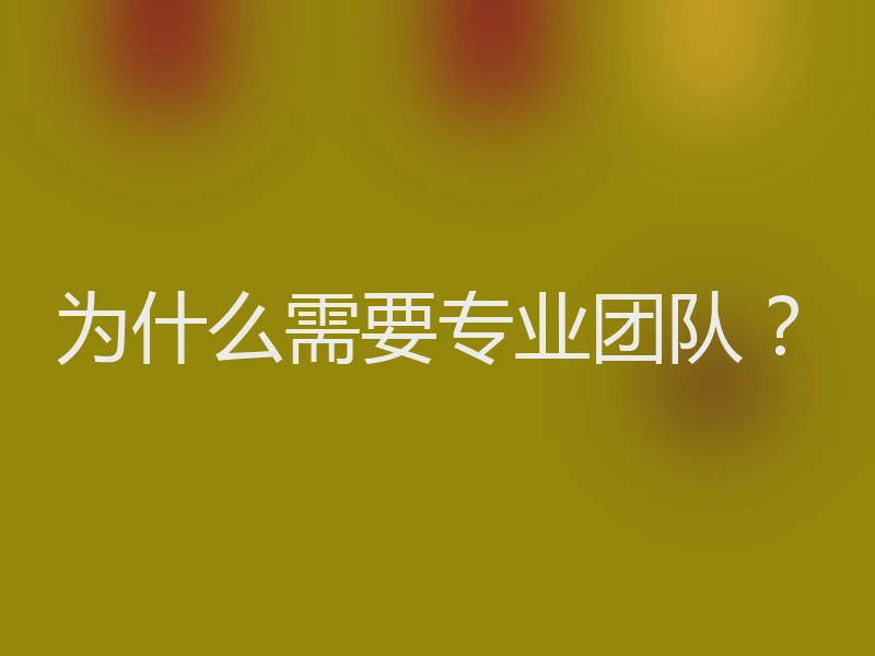 为什么需要专业团队？