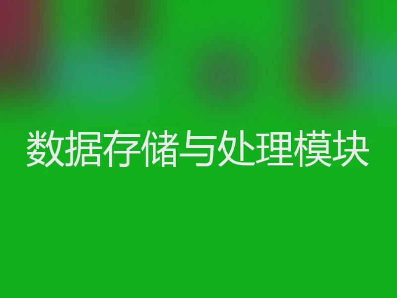 数据存储与处理模块
