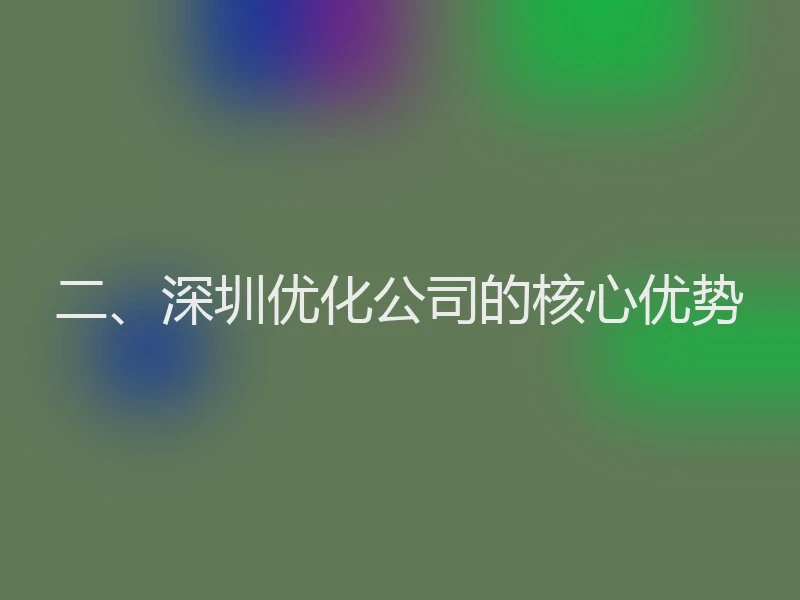二、深圳优化公司的核心优势