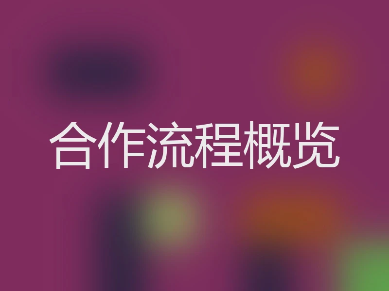 合作流程概览