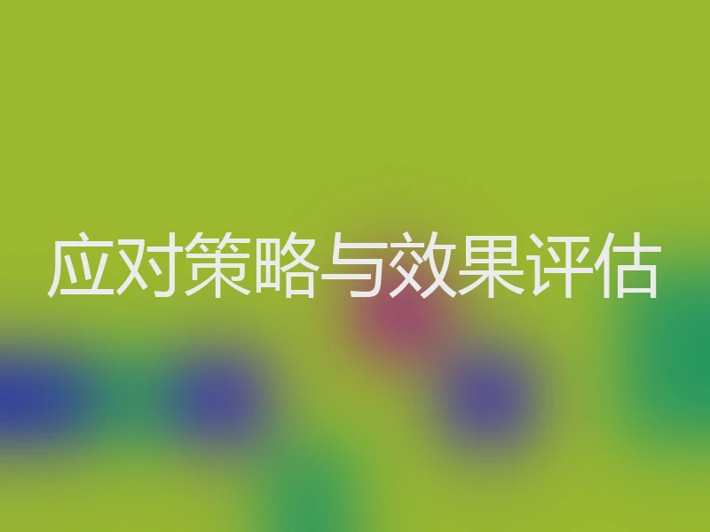 应对策略与效果评估