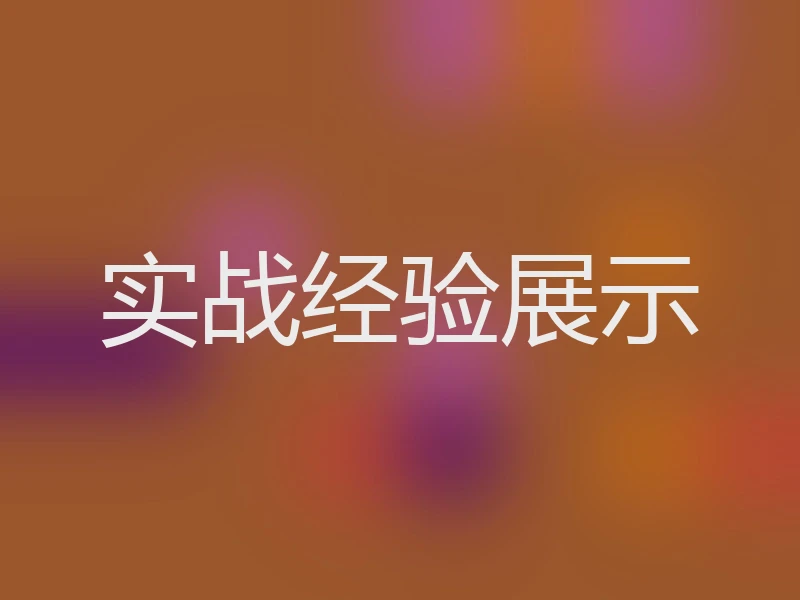 实战经验展示
