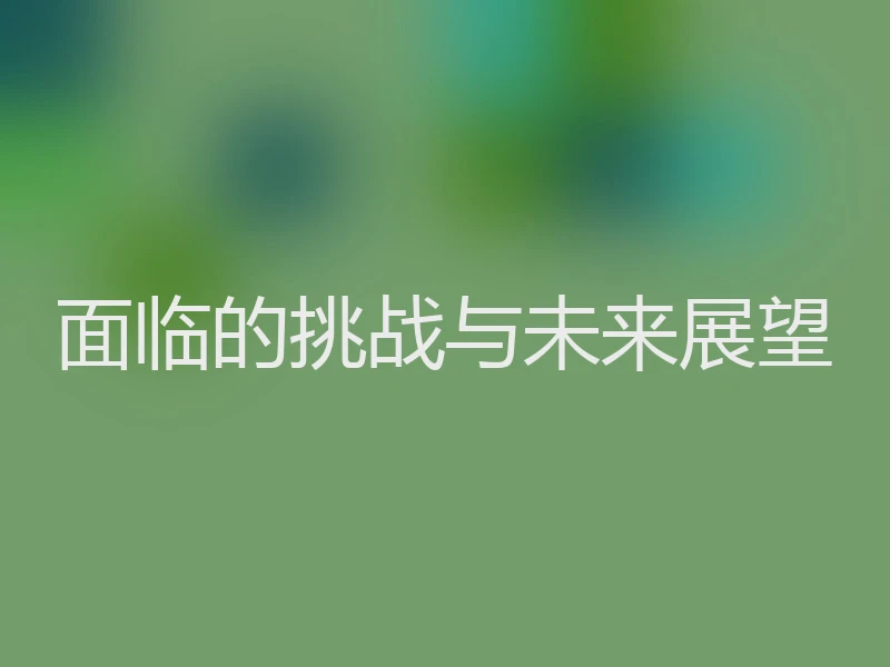 面临的挑战与未来展望