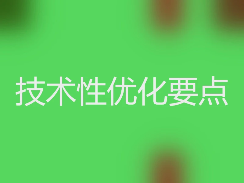 技术性优化要点