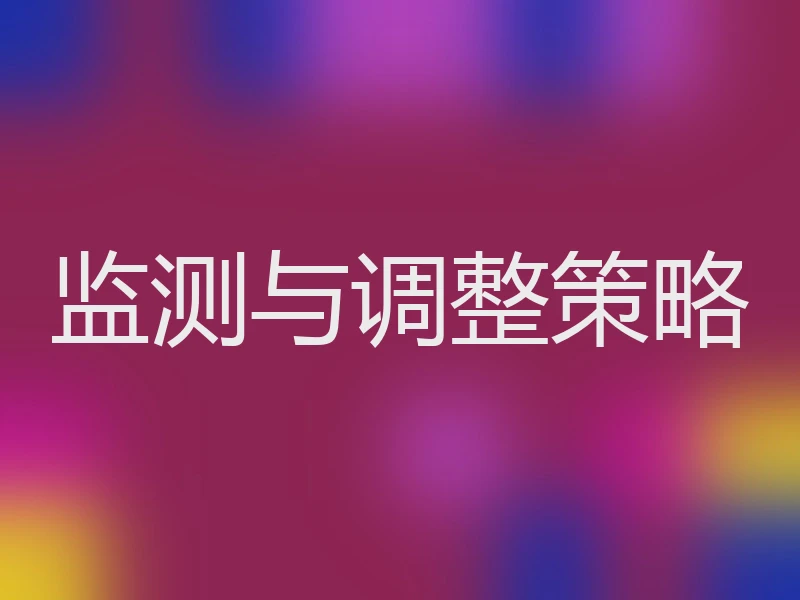 监测与调整策略