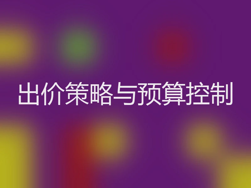 出价策略与预算控制