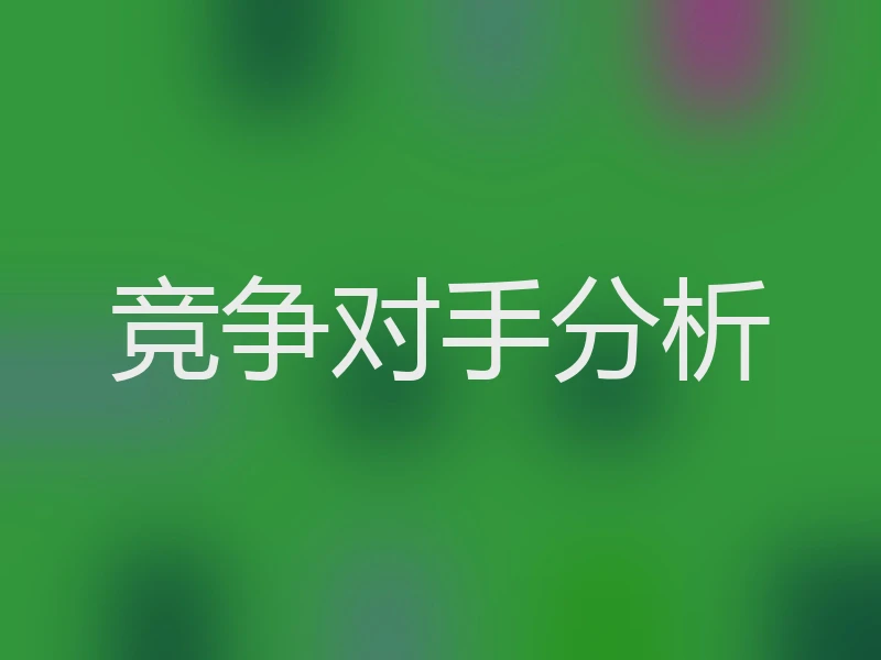 竞争对手分析