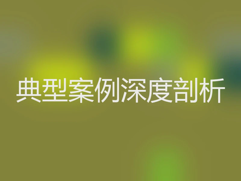 典型案例深度剖析