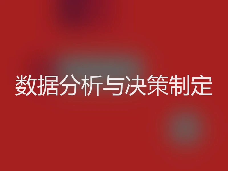 数据分析与决策制定
